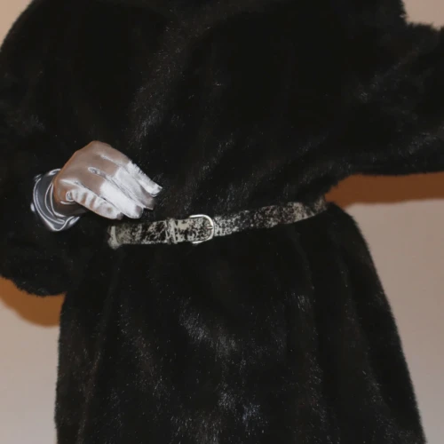 Gallery item #3727